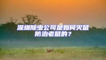 深圳除蟲公司是如何滅鼠防治老鼠的?