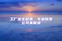 工廠發(fā)生鼠患，專業(yè)除蟲公司來解決