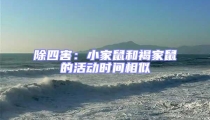 除四害:小家鼠和褐家鼠的活動時間相似
