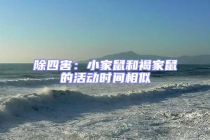 除四害：小家鼠和褐家鼠的活動時間相似