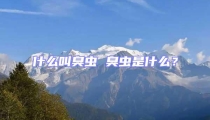 什么叫臭蟲 臭蟲是什么?