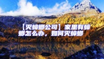 【滅蟑螂公司】家里有蟑螂怎么辦,如何滅蟑螂