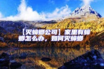 【滅蟑螂公司】家里有蟑螂怎么辦，如何滅蟑螂