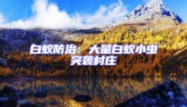 白蟻防治:大量白蟻小蟲突襲村莊