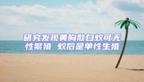 研究發現黃胸散白蟻可無性繁殖 蟻后是單性生殖