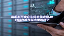別的科學(xué)家在實驗室養(yǎng)老鼠,他們卻奔波在城市里抓耗子