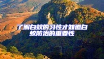 了解白蟻的習性才知道白蟻防治的重要性