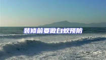 裝修前要做白蟻預防