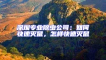 深圳專業(yè)除蟲公司:如何快速滅鼠,怎樣快速滅鼠