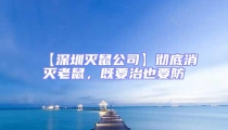 【深圳滅鼠公司】徹底消滅老鼠,既要治也要防