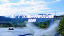 工廠廠區如何預防及治理鼠害