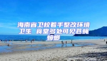 海南省衛校著手整改環境衛生 食堂多處可見蒼蠅蟑螂
