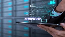 可怕的白蟻