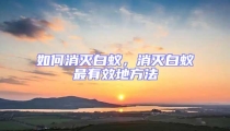 如何消滅白蟻,消滅白蟻最有效地方法