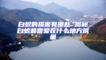 白蟻的損害有哪些 揭秘白蟻最喜愛在什么地方筑巢