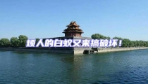 煩人的白蟻又來搞破壞!