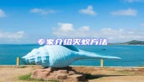 專家介紹滅蟻方法