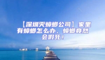 【深圳滅蟑螂公司】家里有蟑螂怎么辦,蟑螂竟然會假死!