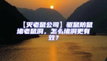 【滅老鼠公司】驅(qū)鼠防鼠堵老鼠洞,怎么堵洞更有效?
