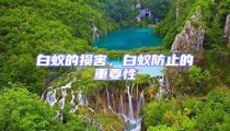 白蟻的損害,白蟻防止的重要性