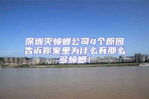 深圳滅蟑螂公司4個原因告訴你家里為什么有那么多蟑螂！