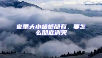 家里大小蟑螂都有,要怎么徹底消滅