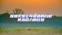 深圳滅蟲(chóng)公司講述的白蟻防治藥力的比較