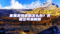 家里發現老鼠怎么辦?滅鼠公司來解答