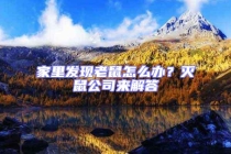 家里發現老鼠怎么辦？滅鼠公司來解答