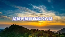 防蟑滅蟑最有效的方法