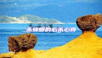殺蟑螂的必殺心得