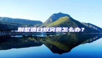 別墅遭白蟻突襲怎么辦?