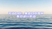 滅治白蟻:家庭白蟻如何有效進行防治
