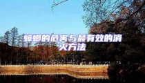 蟑螂的危害與最有效的消滅方法