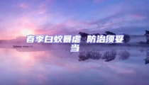春季白蟻暴虐 防治須妥當