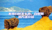 發現白蟻怎么辦,白蟻防治方法介紹