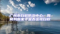 廣州市白蟻防治中心:如何判斷家中是否出現白蟻