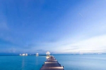 草坪上為什么要裝太陽能滅蚊燈？