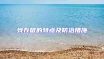 殘存鼠的特點及防治措施