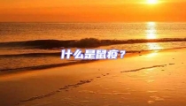 什么是鼠疫?