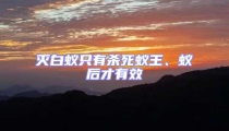 滅白蟻只有殺死蟻王、蟻后才有效