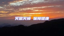 滅鼠滅蟑 保障健康