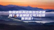 你知道你身邊有多少老鼠嗎?專業捕鼠公司3招幫你搞定!