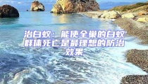 治白蟻:能使全巢的白蟻群體死亡是最理想的防治效果