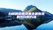 白蟻的危害及最全最有效的滅白蟻方法