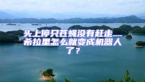 頭上停只蒼蠅沒有趕走....希拉里怎么就變成機(jī)器人了?