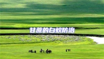 甘蔗的白蟻防治