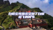 白蟻公司提示又到了白蟻紛飛的時(shí)節(jié)