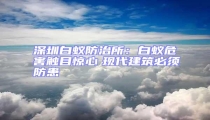 深圳白蟻防治所:白蟻危害觸目驚心 現代建筑必須防患