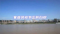 家庭裝修勿忘防白蟻